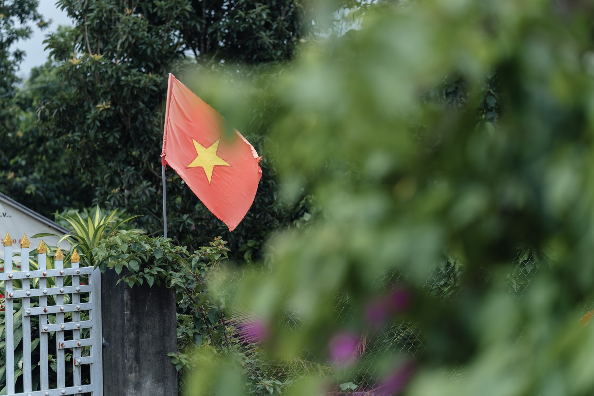 Bich Hoa & Huu Hoc 0011